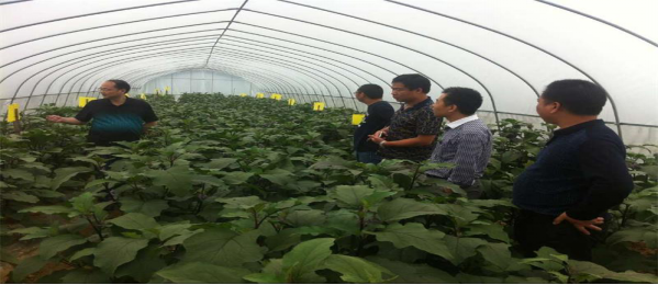 羊角塘镇“安化县农惠有机蔬菜种植专业合作社”申报绿色食品认证进行现场