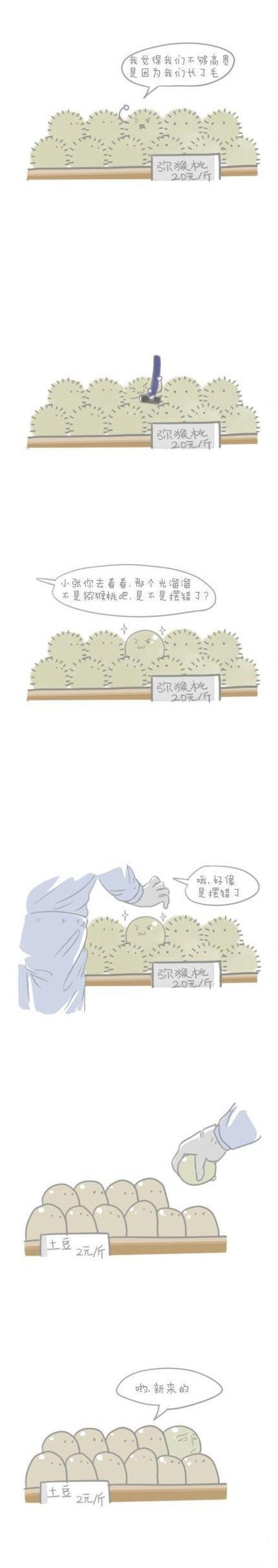 关于猕猴桃的那些小故事