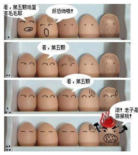 关于猕猴桃的那些小故事