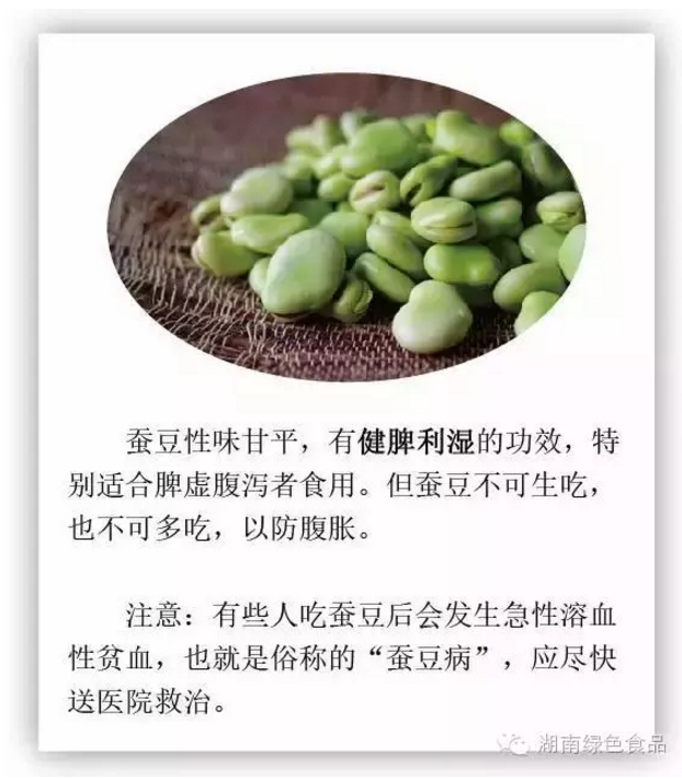 蚕豆