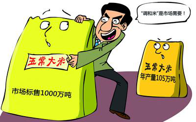 市面90%五常大米掺假
