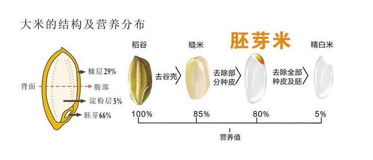 有机胚芽米的营养价值