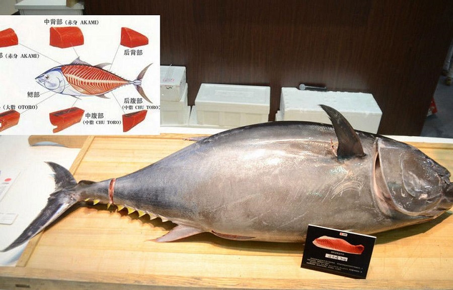 缓解疲劳的食物：金枪鱼