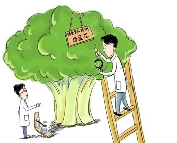 谁在维护绿色食品的公信力？