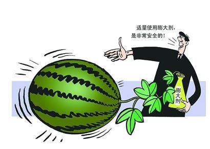膨大剂是什么？使用了膨大剂水果能吃吗？