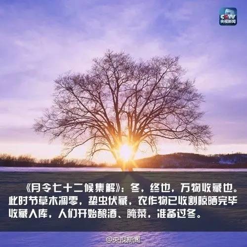 《月令七十二候集解》：冬，终也，万物收藏也。此时节草木凋零，蛰虫伏藏，农作物已收割晾晒完毕收藏入库，人们开始酿酒，腌菜，准备过冬。