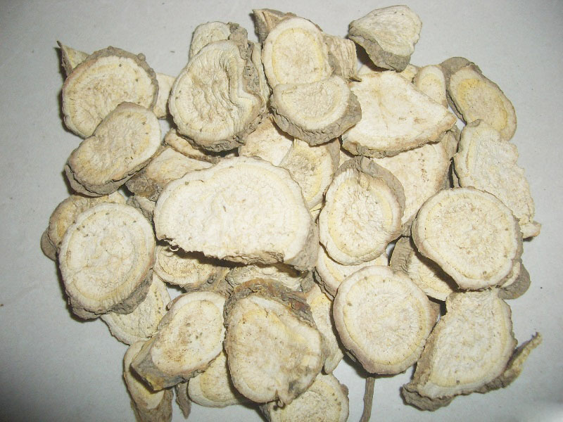 这些中药伤肝：苦参
