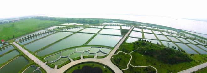 大湖水殖种苗基地鸟瞰