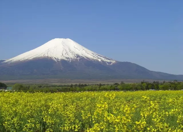 日本有机JAS认证的基本原则