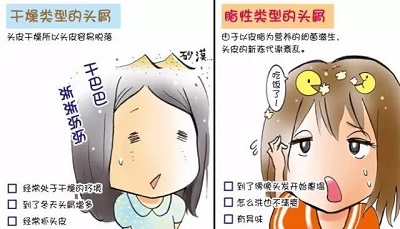 冬天头屑多的原因