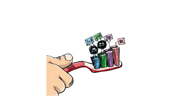 牙刷每天都在滋生细菌