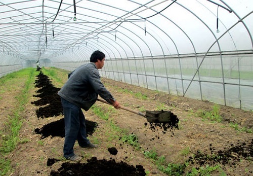有机蔬菜科学施用有机肥和生物肥料