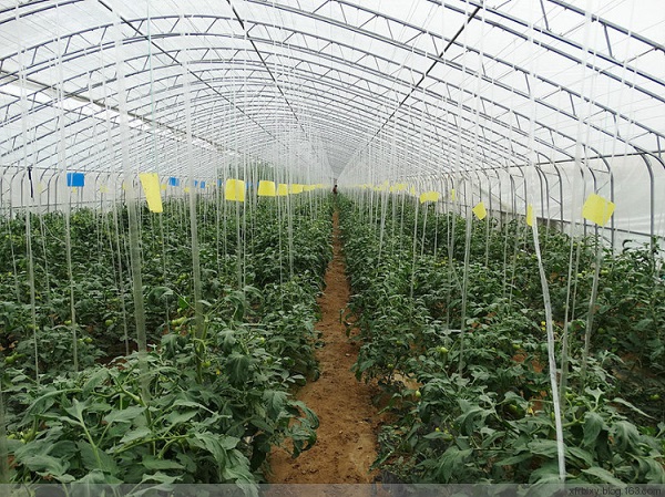 不断推动技术进步
