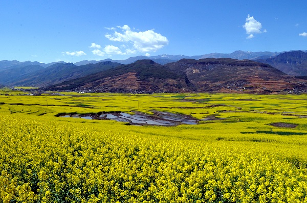 逐步扩大基地建设