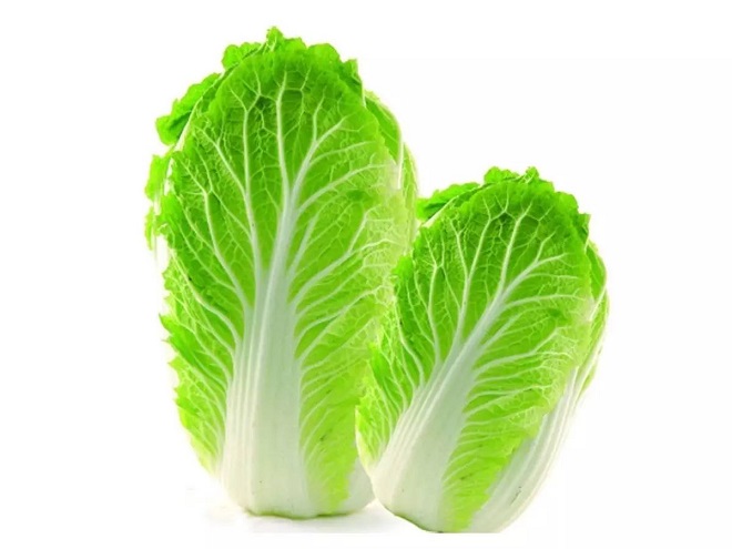 冬季时令蔬菜：大白菜