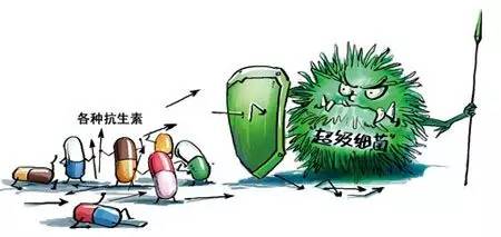 “超级细菌”抵抗26种抗生素