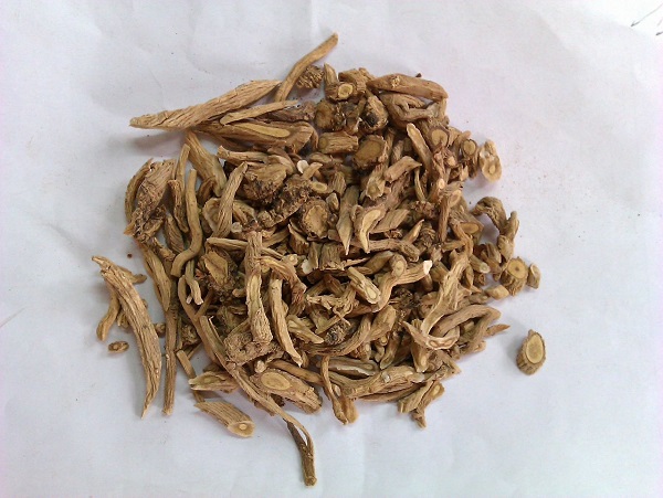 板蓝根的服用禁忌