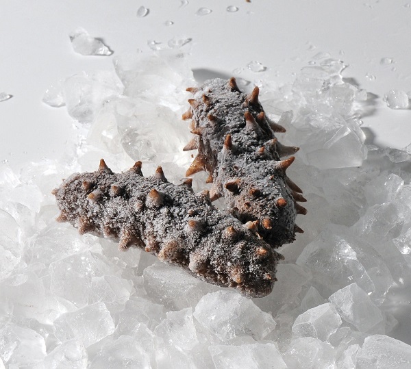 煮海参的水是什么颜色的