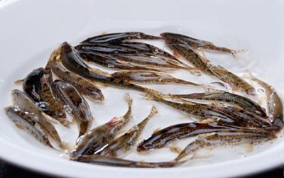 河鲜寄生虫多？