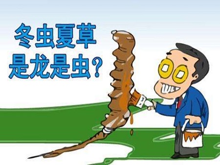 冬虫夏草