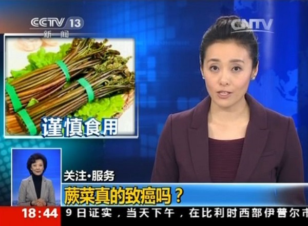 央视节目报道蕨菜致癌